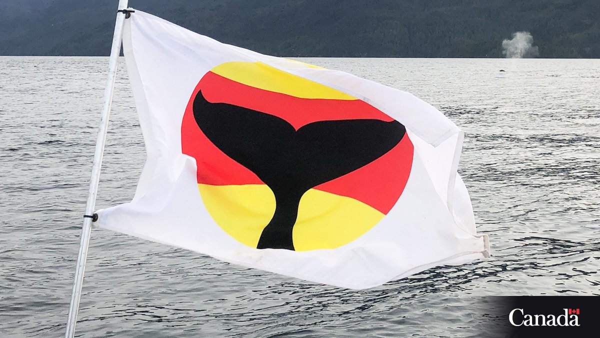 It’s #OrcaActionMonth! Have you seen boats flying this whale warning flag in B.C. coastal waters? 
 
These flags are raised when there are whales in the area. It signals to others to be aware, stay alert and follow the marine mammal regulations!  ow.ly/aAoL50W2U06