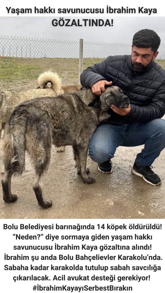 Bravee_7989's tweet photo. Hiç nedensiz Toplanan Hayvanların nerde olduğu.? Onların akibeti ..? Hayvanlarla ilgili bilgi almak soruşturmak haktır .. Suç değil ,Hayvan sever arkadaşımızı serbest bırakın ,#İbrahimKayayıSerbestBırakın https://t.co/VmAvr6lQ4v