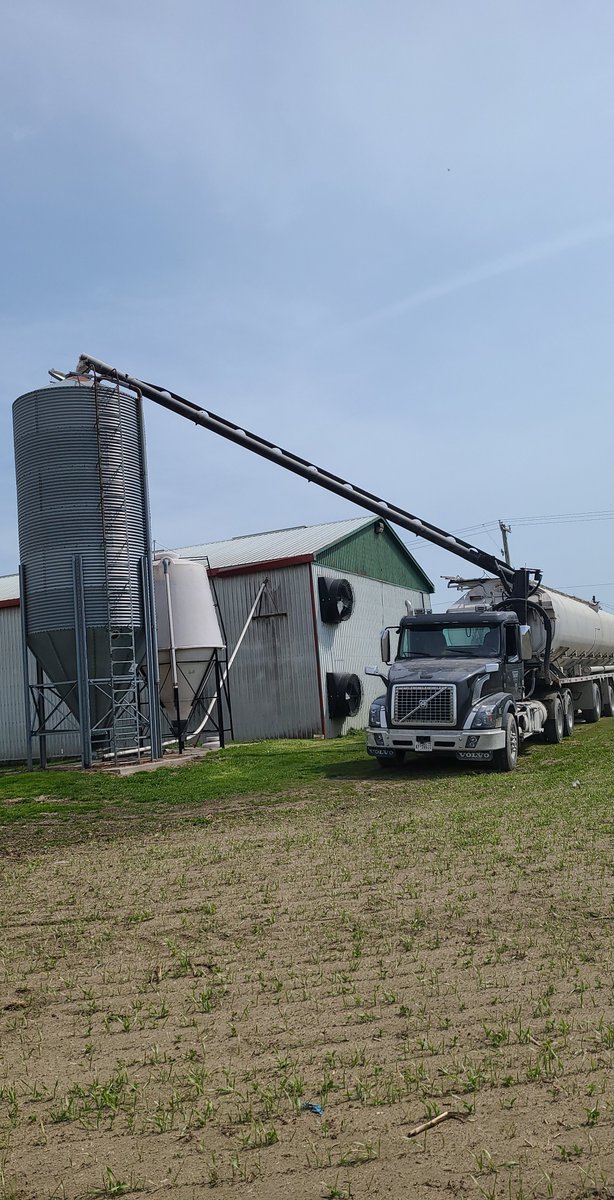 Feed delivery that is dependable and professional!
Tyler and Frank get your feed to your farm and leave you worry free with their skill and care.
Bulk, Toted and Bagged options available for ruminants and poultry!
office@talbotelevators.com
M-F 8:30-3:00
#feedmill #feedstore