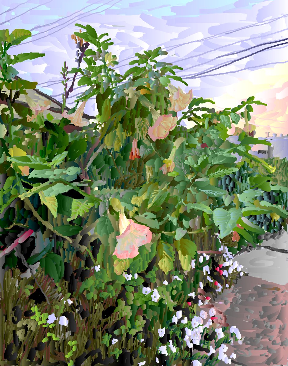 PLAYGROUND DETROIT tweet media