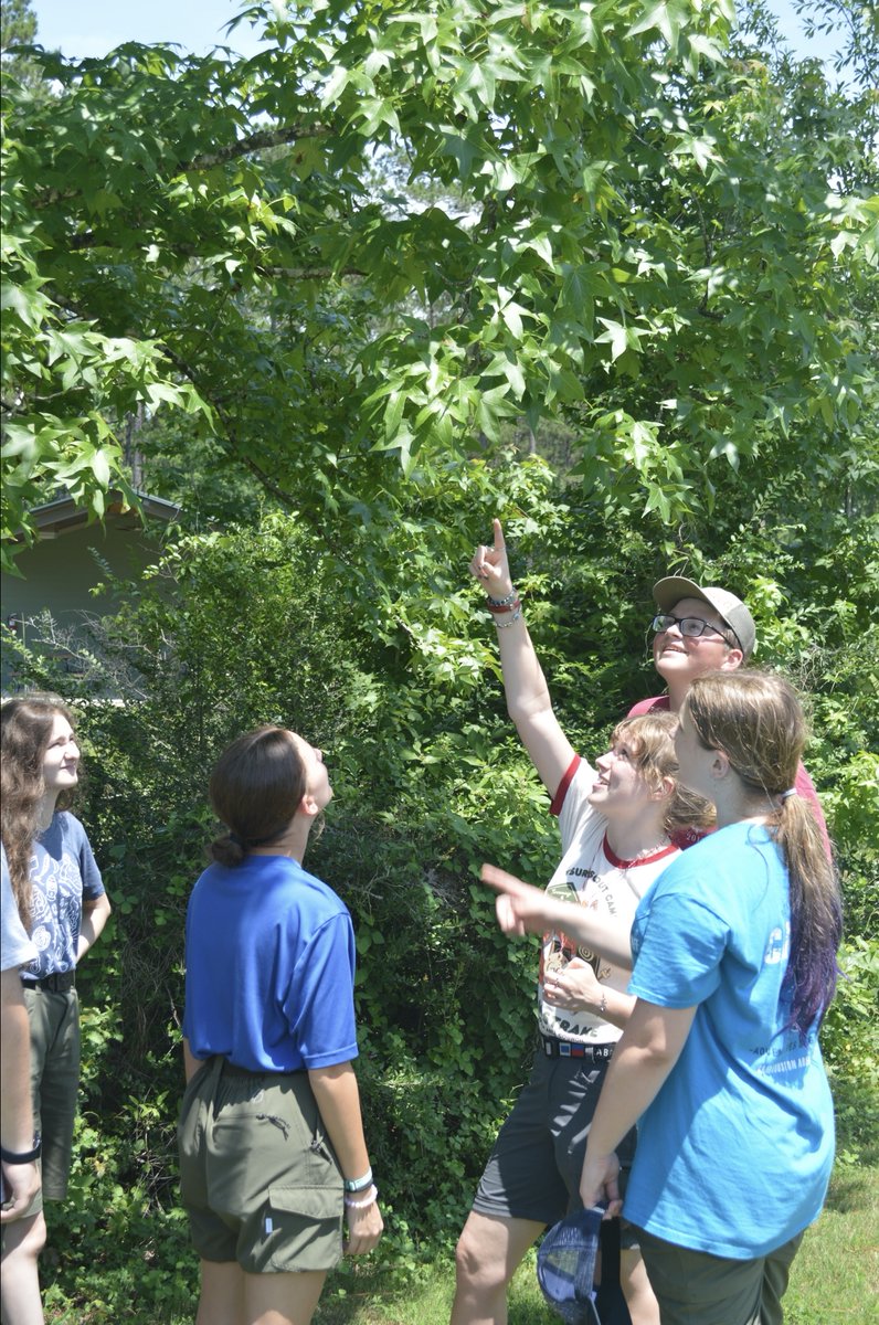 StrakeCamp's tweet photo. Staff week in full swing! 💪 From setting up tents to prepping every corner of camp — we’re sweating now so the campers can smile later 😎⛺ #CampLife #StaffWeek #BehindTheScenes #AlmostReady #CampStrake #SHAC #ScoutingAmerica https://t.co/amuOZqEJWl