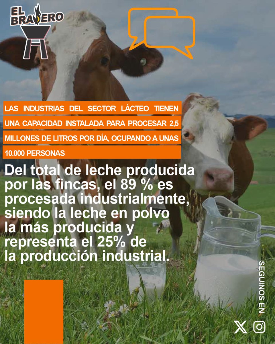 El aporte de la leche