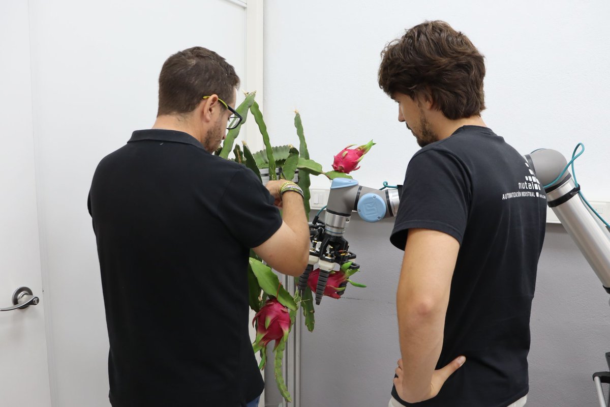 INDEREN_ENERGIA's tweet photo. Compartimos los avances del proyecto #DRAGONBOT, en el que participa #INDEREN. Actualmente, el equipo de @nutai_com está trabajando en el desarrollo del sistema de visión artificial, realizando las primeras pruebas de integración en laboratorio.🌿Más Info: https://t.co/jYvkcWXYYO https://t.co/8eSwy9SJ0V