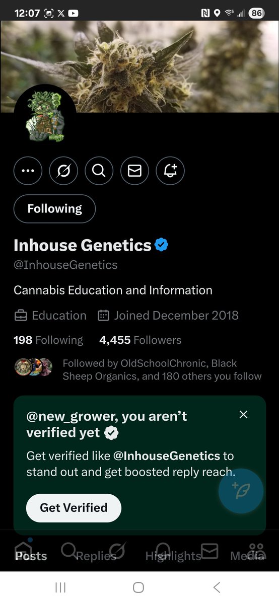 new_grower's tweet image. Ok growmies. The X streets have me very cautious. Can anyone help me? Are they both legit? Is one an imposter? @InhouseGenetics  and @inhouse_genetic