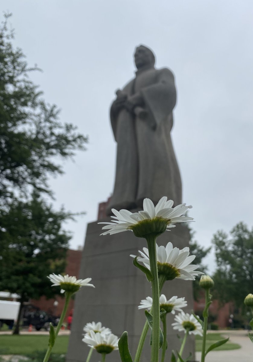 PalmeriJoAnn's tweet image. #Daisies on the south oval @UofOklahoma (with views of William Bennett Bizzell statue &amp;amp; Bizzell Memorial Library) #CampusFlowers #LibrariesFromTheOutside