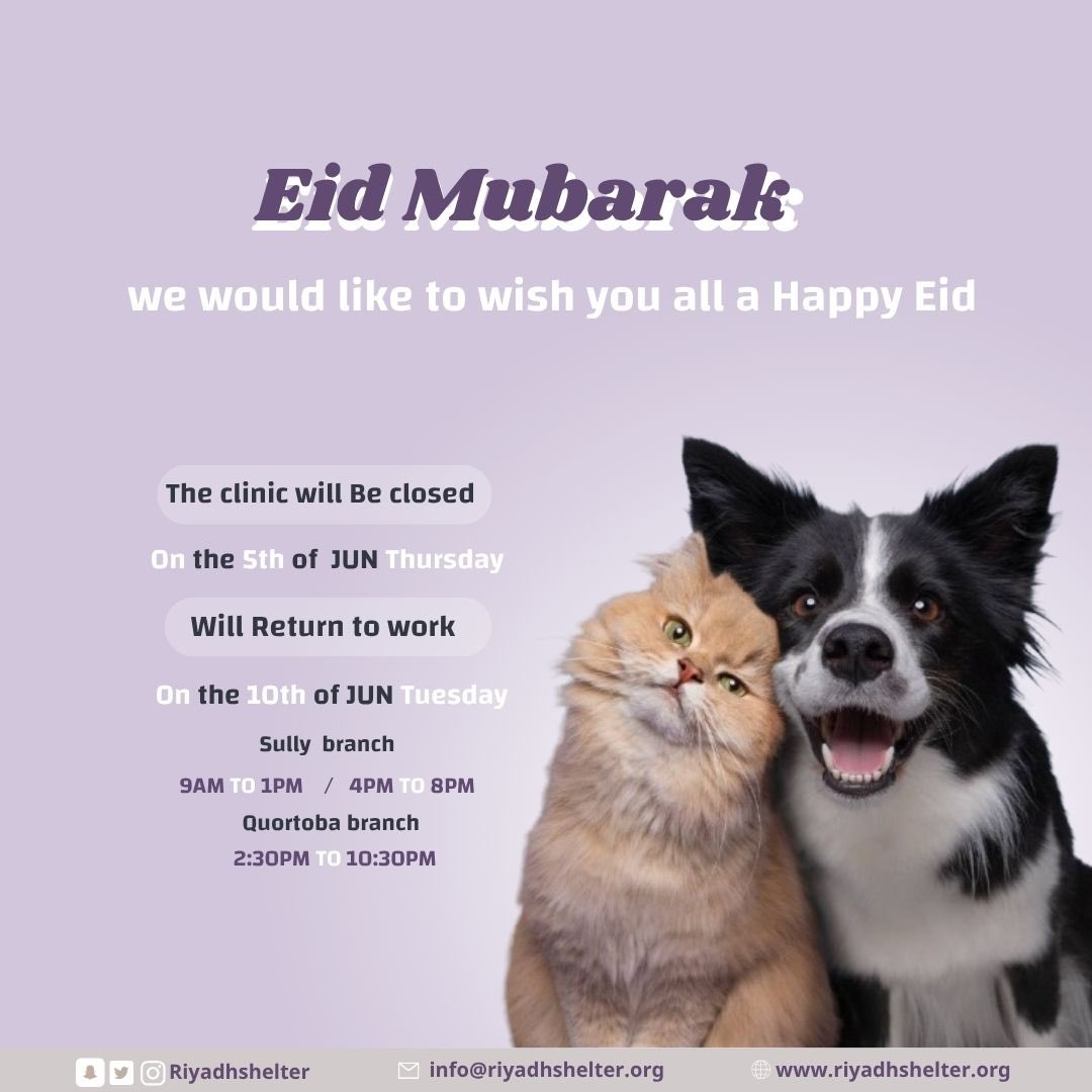 كل عام وانتم بخير 💜💜