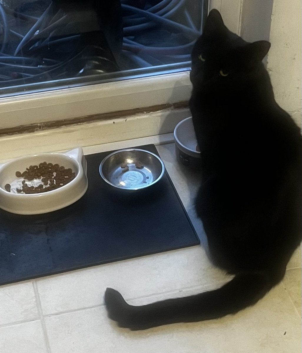 I fed him 5 minutes ago and he’s pretending I’ve forgotten.