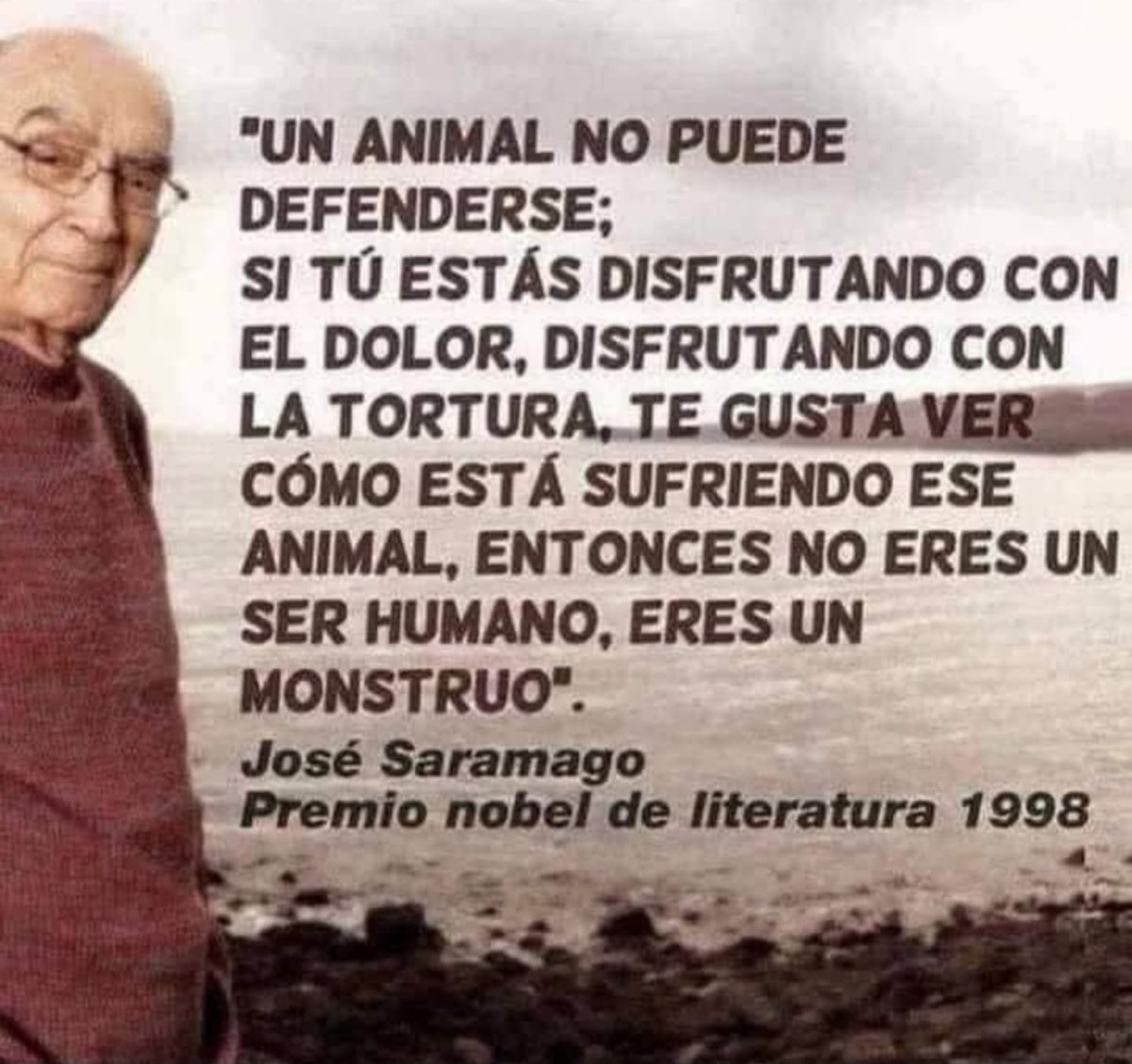 Techno Motores (@technomotores96) on Twitter photo 