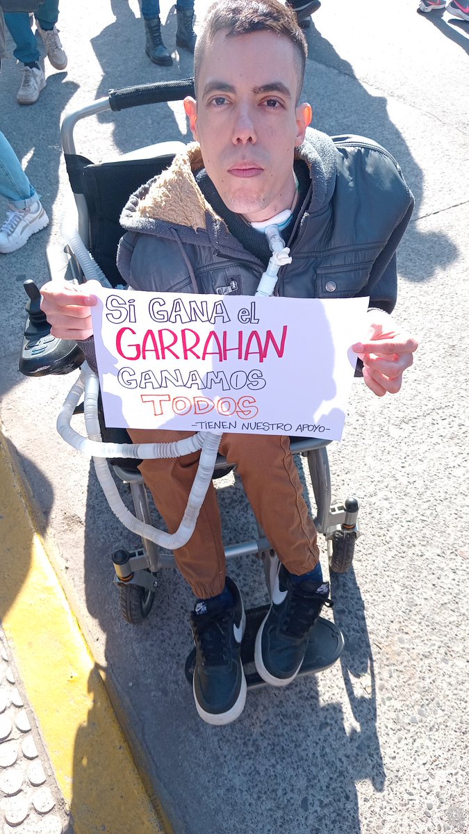 Alejandra Arreguez tweet media