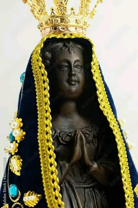 Ave Maria, cheia de graça, o Senhor é convosco. Bendita sois vós entre as mulheres e Bendito é o fruto do vosso ventre Jesus. Santa Maria, Mãe de Deus, rogai por nós pecadores agora e na hora da nossa morte. Amém.

Nossa Senhora Imaculada Conceição Aparecida, rogai por nós.