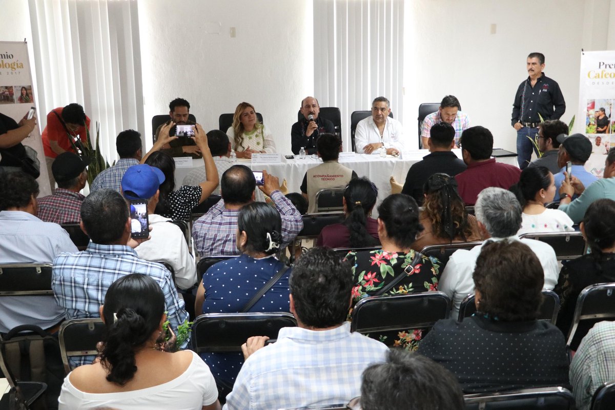 Reconocen a lo mejor del café en 9º Premio Cafeología Chiapas 2025 facebook.com/SagypChiapas/p…