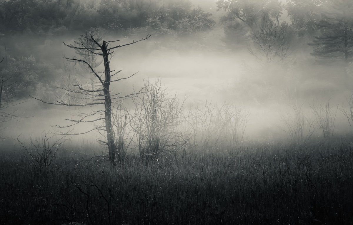 mark_walker7728's tweet image. l i g h t   a n d   d a r k

captured June 22, 2024
Earth&apos;s beauty fills me with solace.

📷 Nikon Z7
Lens: NIKKOR Z 24-120mm ƒ4 S
120mm focal length
*raw image edited in lightroom classic &amp;amp; photoshop 

#photography #lensculture #moodycapture #behindthelens