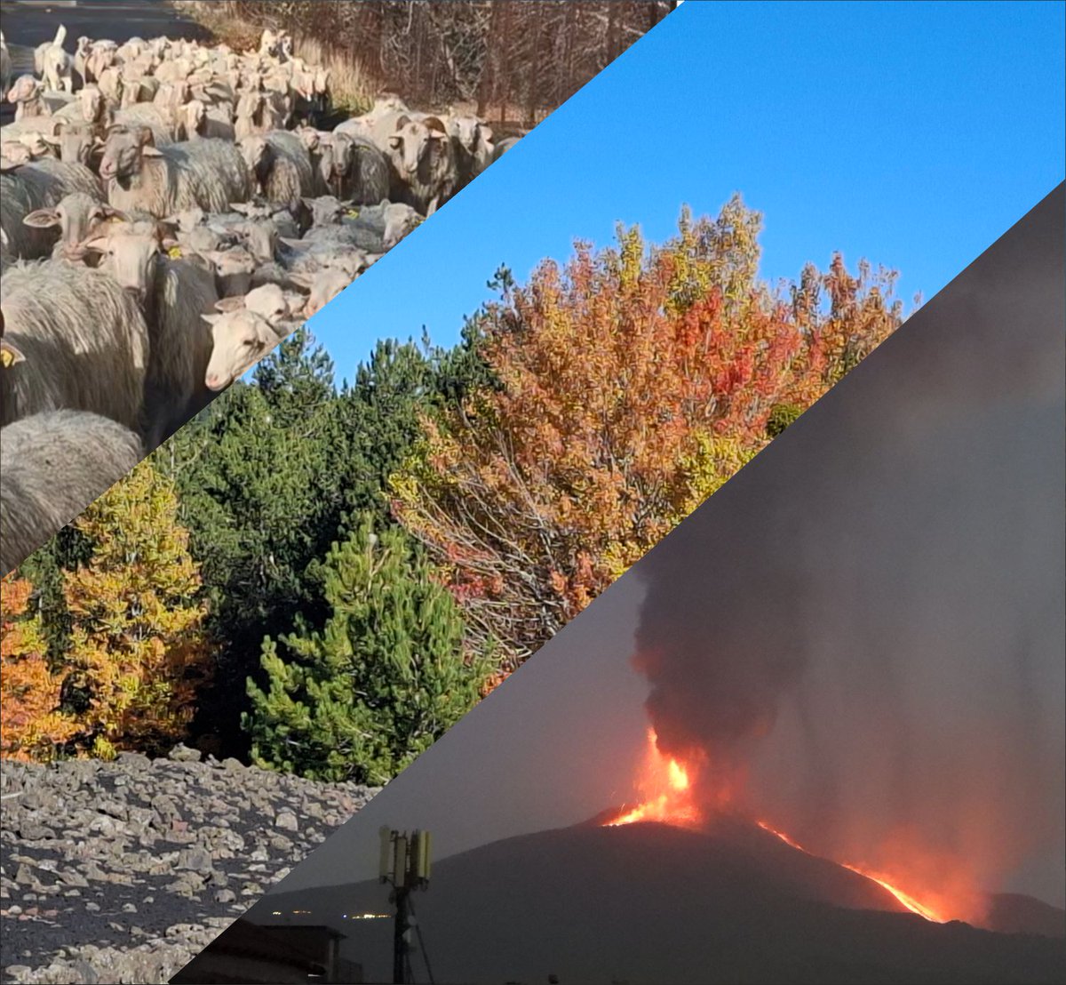 A musical voyage across the landscapes of Mount #Etna, from the lower slopes to the forests &amp; savannas around older and younger craters, cones &amp; lava flows, to the barren volcanic lands near the summit 

PASSEGGIANDO IN MONTAGNA
Walking on the mountain

soundcloud.com/boris-behncke/…
