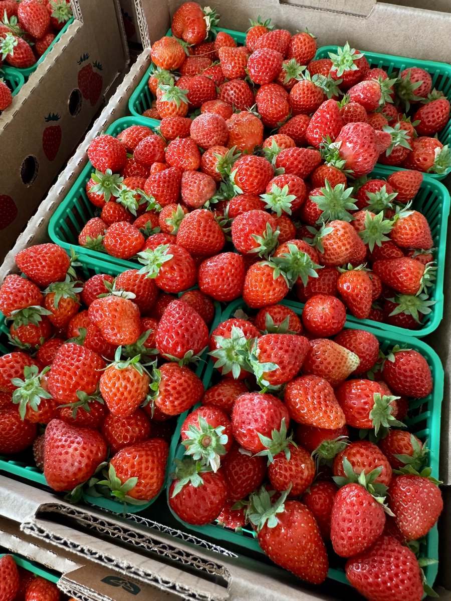 It’s #LocalFoodWeek in #Ontario! 

This mornings colours at #Elmira Produce Auction remind us to 🎶spread a little happiness 🎶and show our <a href="/OntarioFarms/">Ontario Federation of Agriculture</a> #farmers and #chefs some 💚 #LocalFood #EatLocal #OntAg #LoveOntFood #food #chef#100MileStyle #EatWellLaughOften ❤️ 🧑‍🌾👩‍🌾🧑‍🍳👩🏻‍🍳