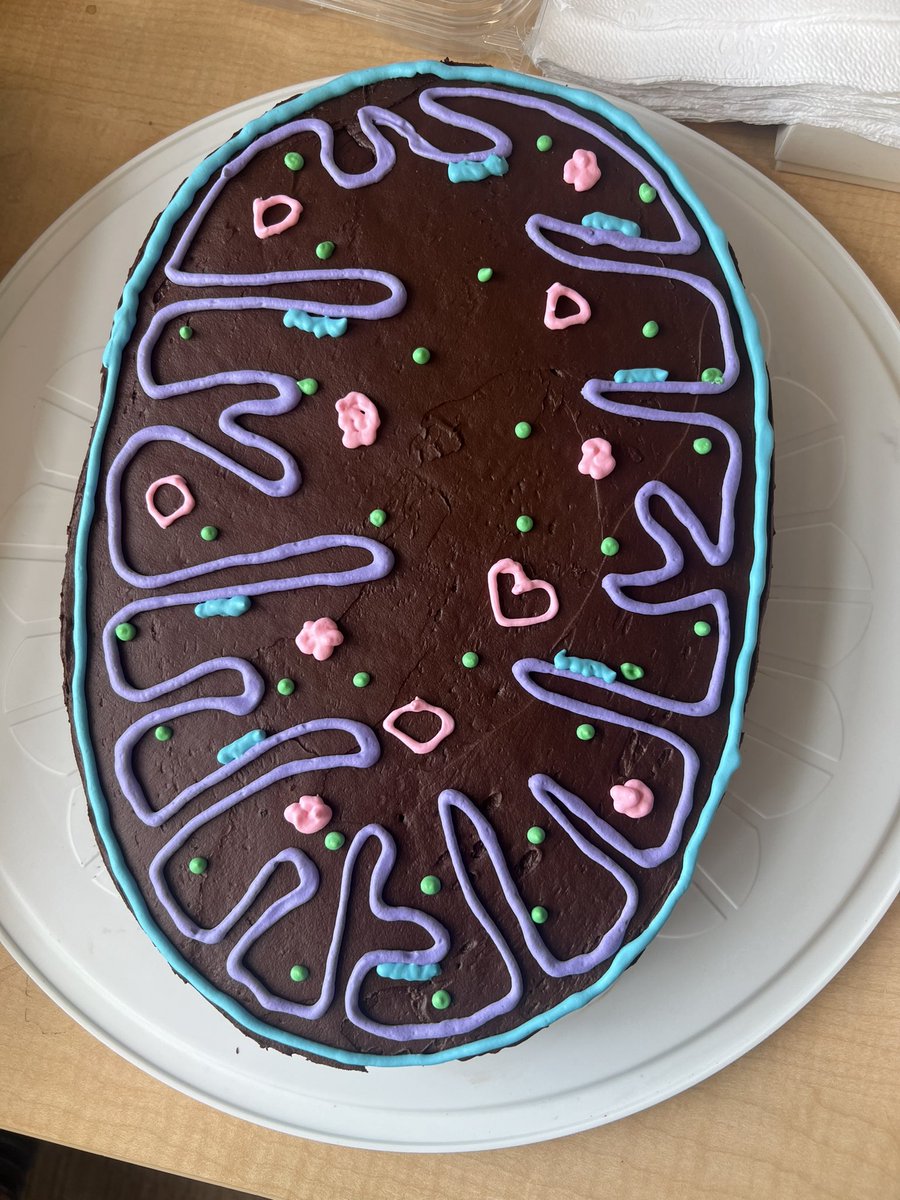 Samia Pratt 🧠 tweet media