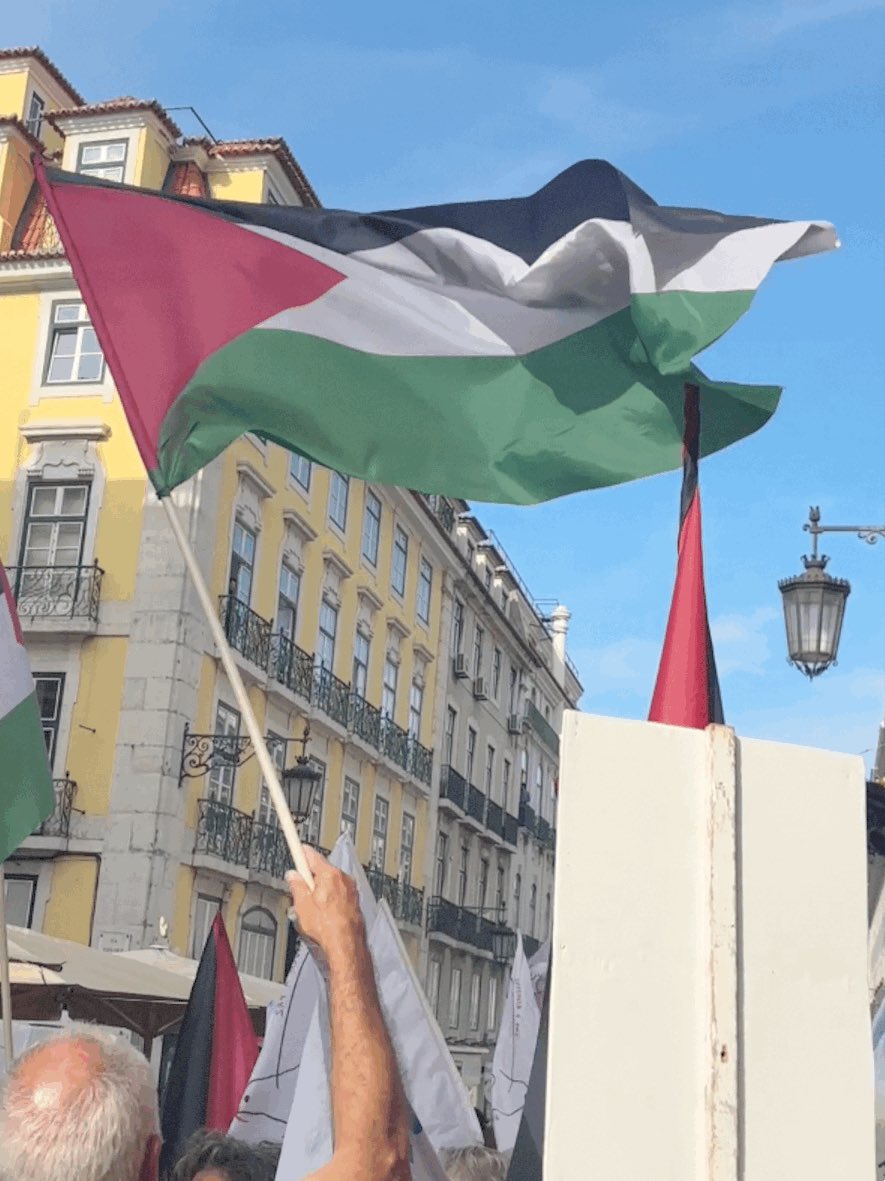 drmaybe's tweet image. 