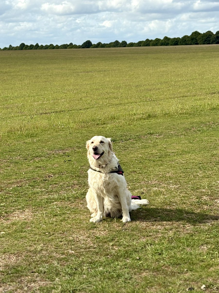 SarahReeve1's tweet photo. Just me and my girl in our favourite place 💕💕💕 #RetrieverLife #GirlTime #WhoNeedsBoys https://t.co/FqtfGDMhjr