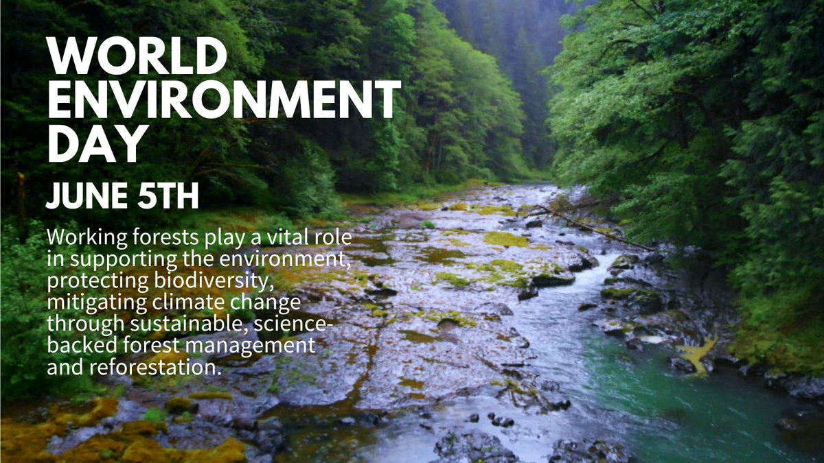 How working forests improve the environment:
🌎 Combat climate change
🦋 Supports biodiversity
💧Improves water quality
🏡 Promotes sustainable development
💨 Removes CO2 from the atmosphere
#workingforests #worldenviromentday