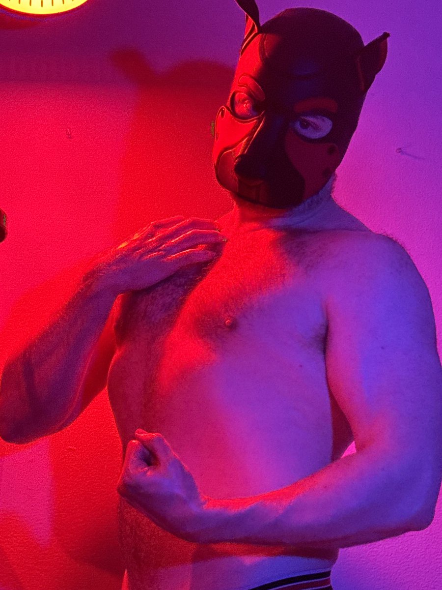 PupXander_'s tweet photo. I remember coming home from IML 2024 with my first pup hood and instantly doing this photoshoot... Little did I know the places and experiences this account would take me to over the next year :) https://t.co/MIIPbK5xqG