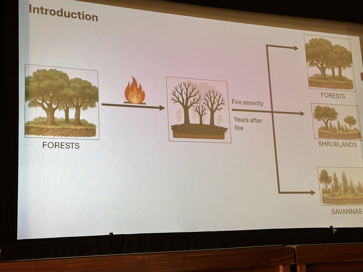 Fire in the Earth System tweet media