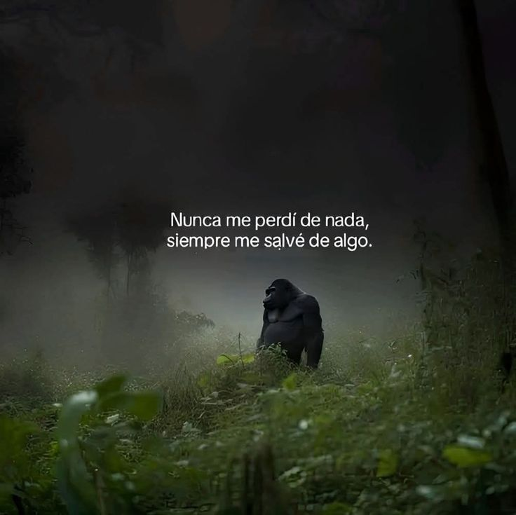 hombres's tweet photo. Siempre... https://t.co/H6QxhD6JtW