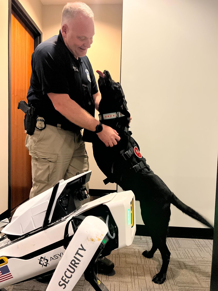 asylonrobotics's tweet image. We demoed DroneDog today…
The client brought their K-9 security dog, Quinn. 🐶
Guess who got all the attention? (Hint: not the robot.)
We’ll add “tail wag module” to the next build.
#DroneDog #SecurityRobotics #DroneIQ #K9VsRobot