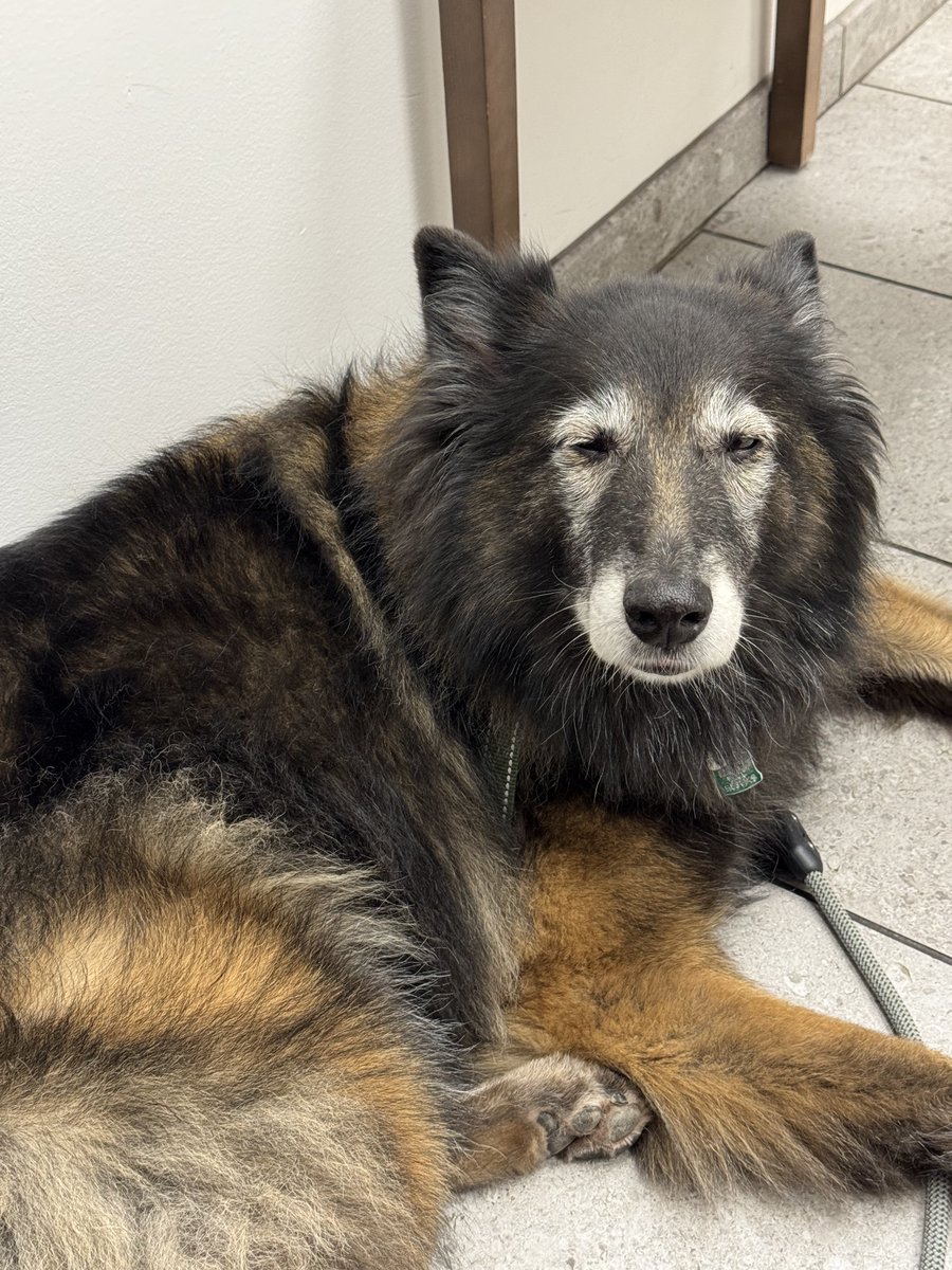 긴장해서 조는거..