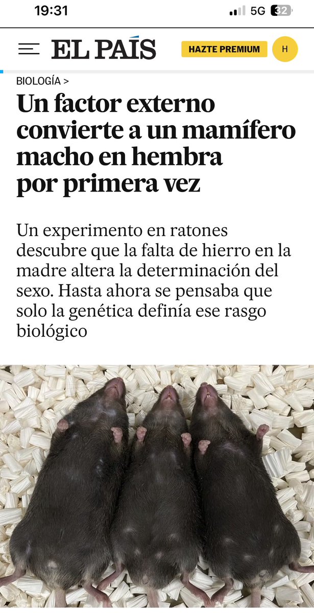 La biología y sus sorpresas…
No solo la determinación del sexo quizá sea más cuantitativa que cualitativa, sino que además puede ser mucho más multifactorial de lo que pensábamos…
Biología dixit…
👇🏻
elpais.com/ciencia/2025-0…