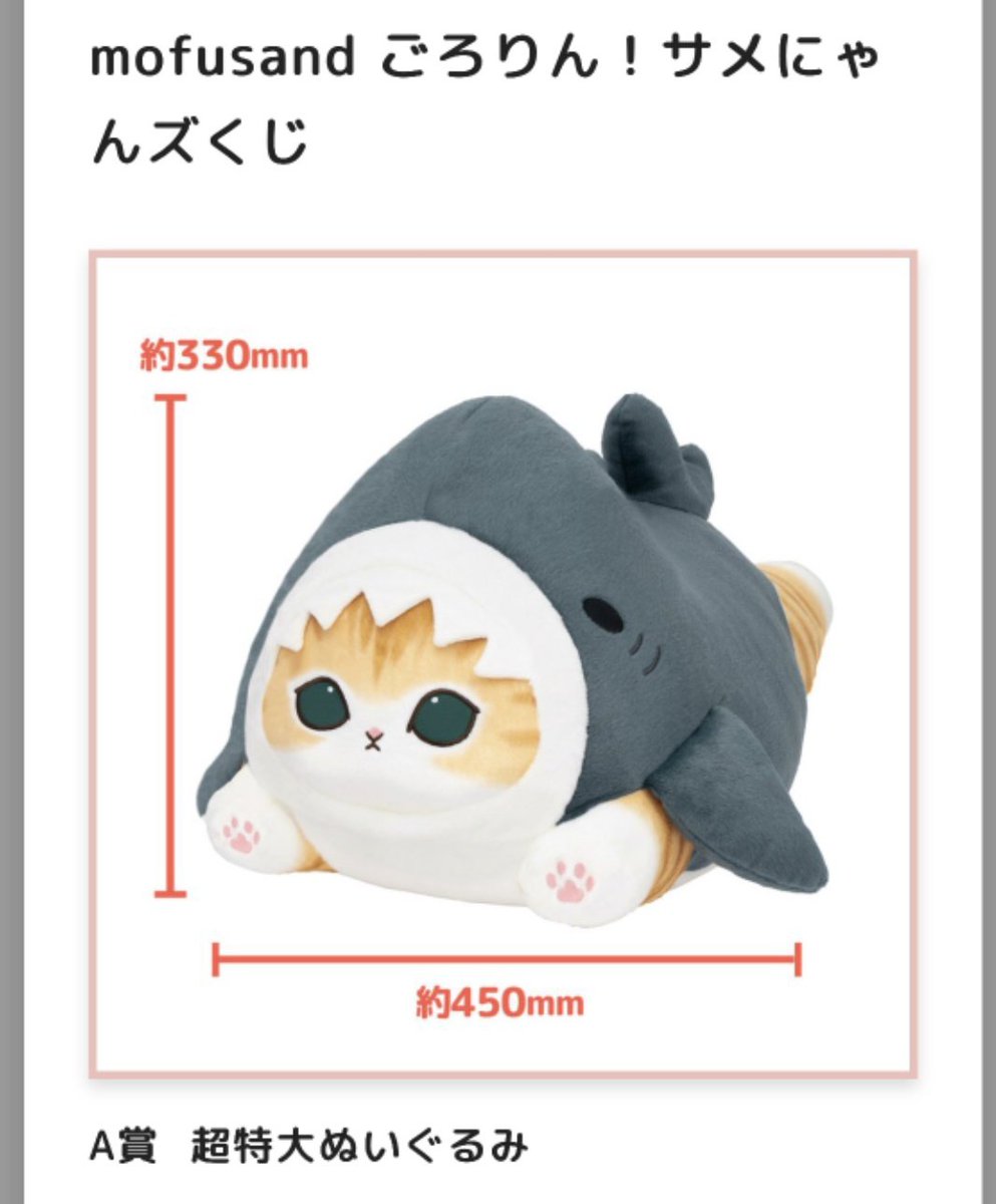 サメにゃんズくじ