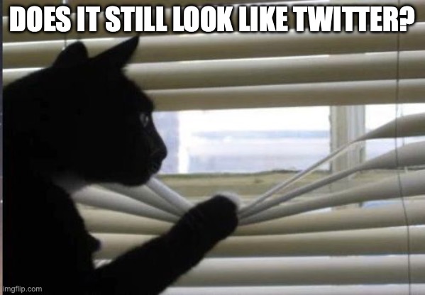 Just keeping tabs...