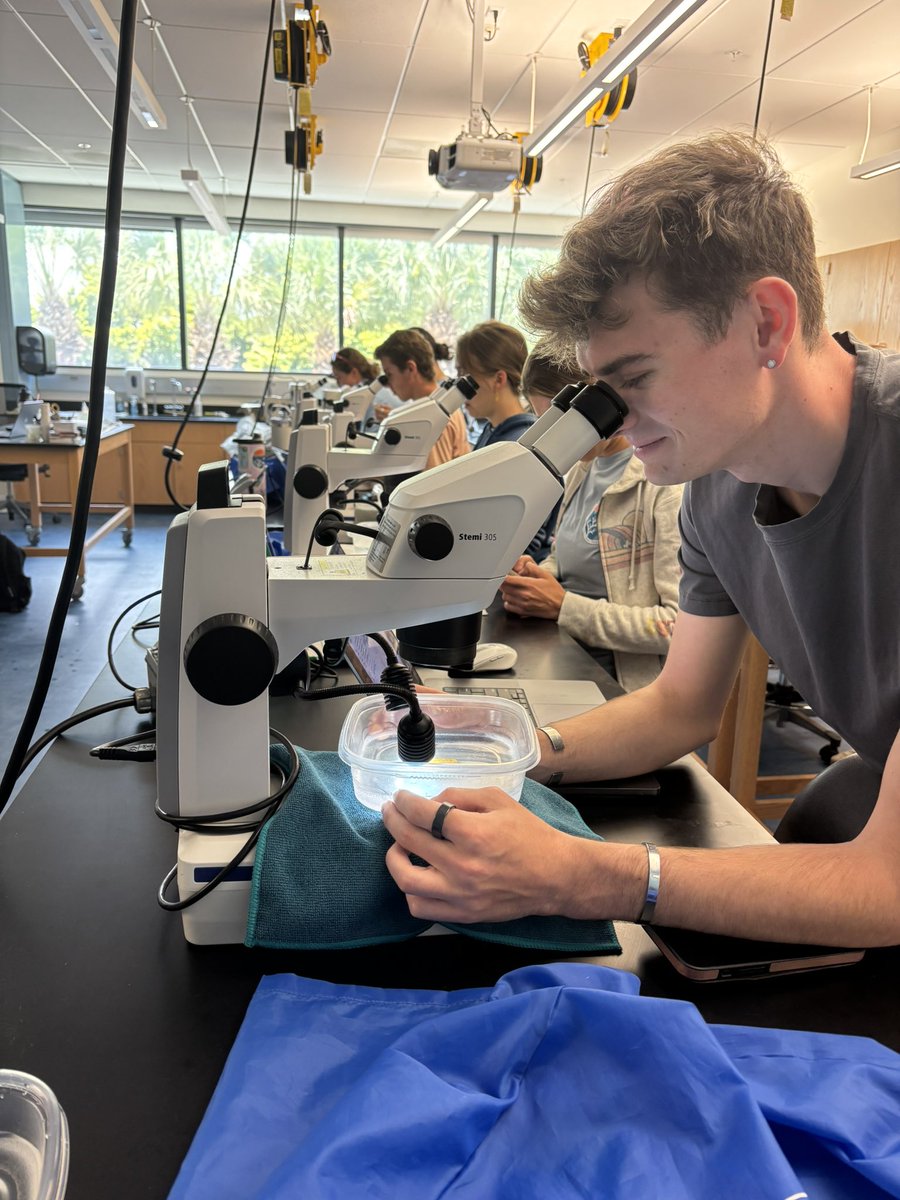 Last week, <a href="/rescueareef/">Rescue a Reef</a> and <a href="/CoralReefFuture/">Coral Reef Futures Lab</a> led workshops on coral husbandry, propagation, reproduction, and restoration, providing the Florida Re5 Hub interns with the tools they need to make a real impact in the lab and in the field!