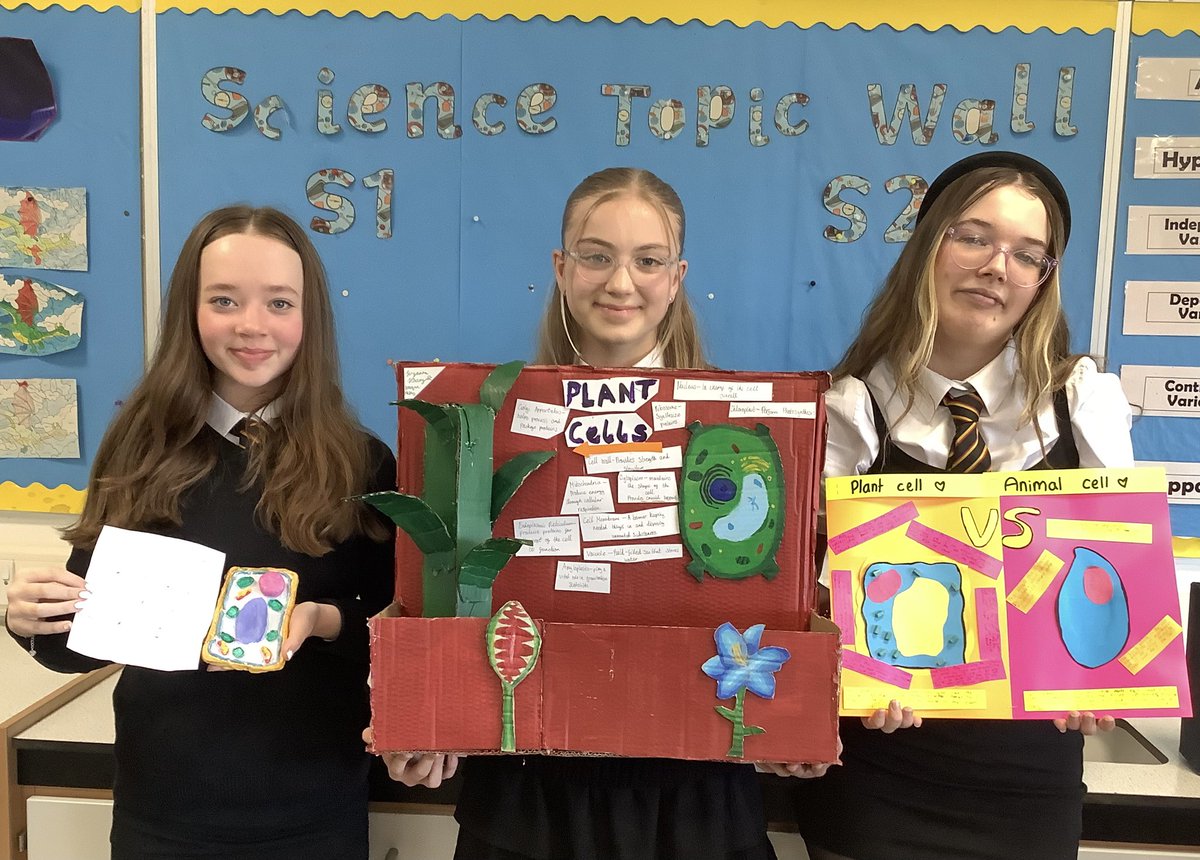 An excellent effort from these pupils who created these displays to demonstrate the structure of a cell