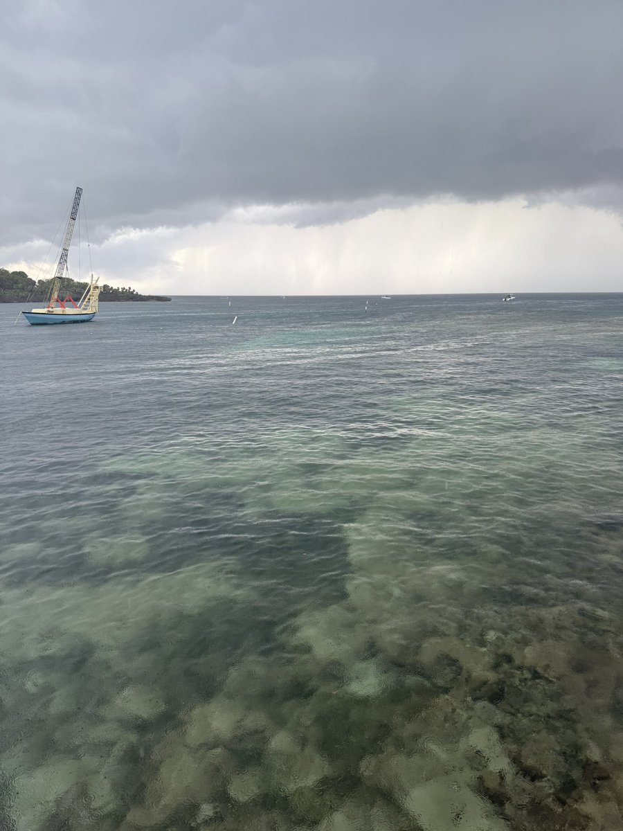 Justin Plunkett tweet media