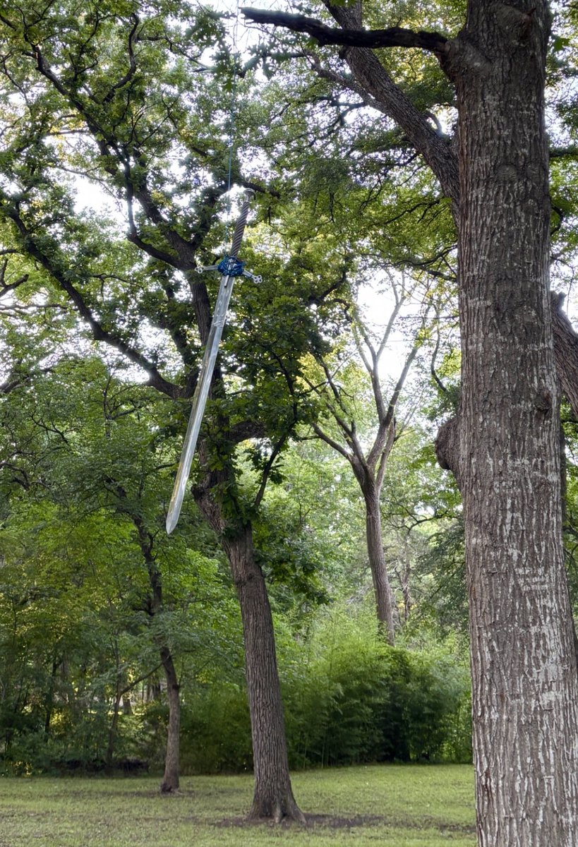 my dad has this sword hanging from a tree in his yard lol