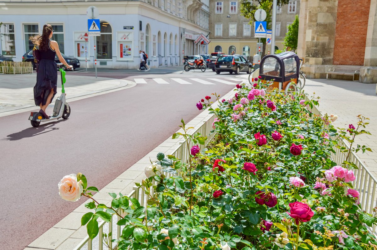 Melissa & Chris Bruntlett tweet media