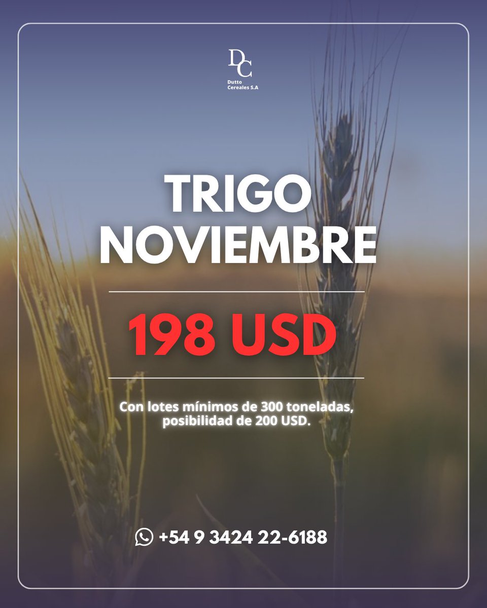 📢 ¡Oportunidad en TRIGO NOVIEMBRE!

💰 Cotiza a 198 USD — Con lotes mínimos de 300 toneladas, posibilidad de 200 USD.

📲 Consultanos a nuestro WhatsApp +54 9 342 4 22-6188

#Trigo #MercadoDeGranos #DuttoCereales #AgroNegocios