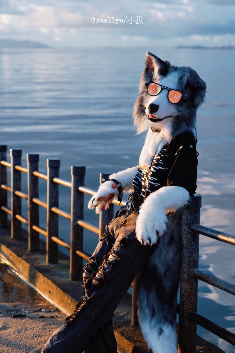 smallyuXP's tweet image. 去年海边

#Fursuit #furryartist