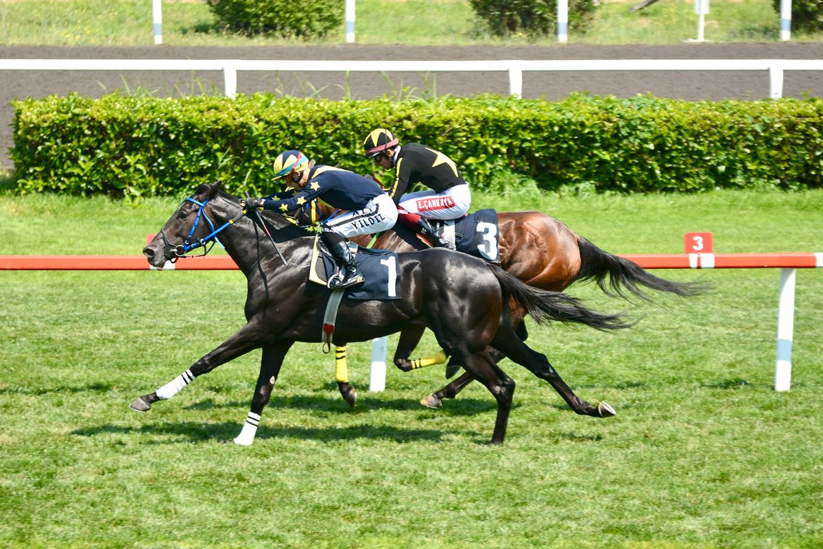 Andre Sakbani (@andre_sakbani) on Twitter photo Laureate, By NOBEL PRIZE, and again finishes 2100M Turf 1st at Veliefendi Racecourse in Istanbul! 🏇🥇
#HorseRacing #Veliefendi” #NOBELPRIZE
<a href="/NobelSires/">Nobel Sires</a> <a href="/_TJK_/">Türkiye Jokey Kulübü</a> Laureate, By NOBEL PRIZE, and again finishes 2100M Turf 1st at Veliefendi Racecourse in Istanbul! 🏇🥇
#HorseRacing #Veliefendi” #NOBELPRIZE
<a href="/NobelSires/">Nobel Sires</a> <a href="/_TJK_/">Türkiye Jokey Kulübü</a>