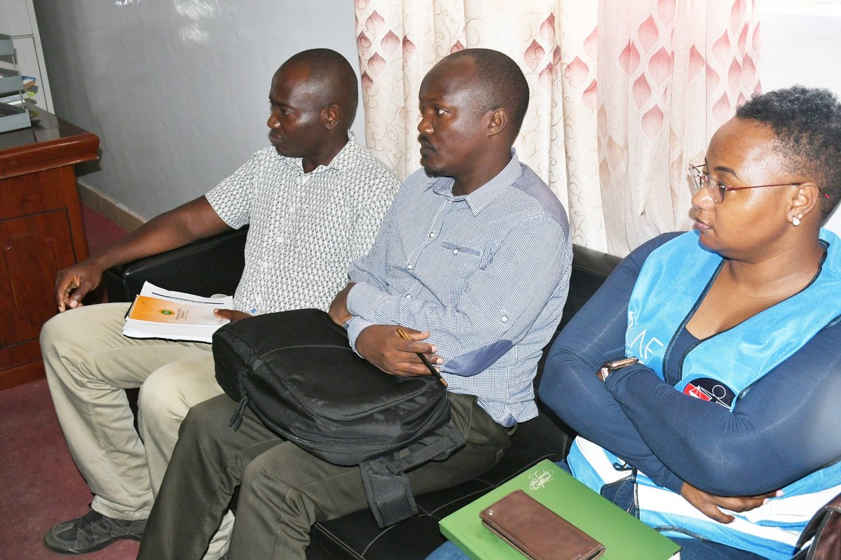 Dadhe Boru tweet media