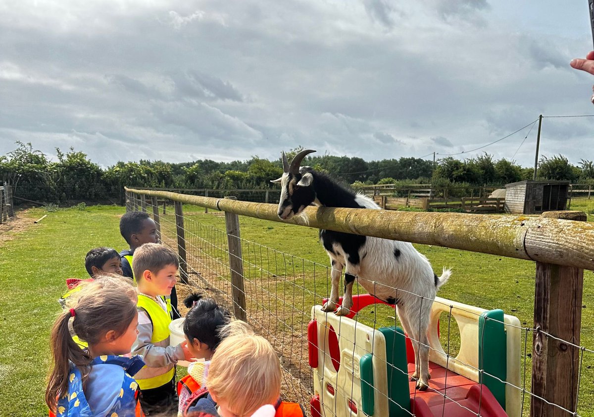Preschool had a brilliant time at the farm today.