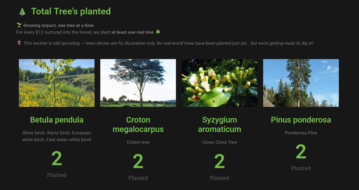 🌳 Transparency is growing root-deep!
We’re hard at work expanding our website to make everything visible on our dashboard, including GPS locations and the exact trees being planted 🌍
The forest is going public soon... stay tuned 🌿✨