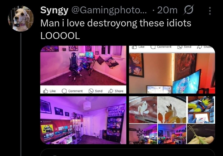 LegendSyn tweet media