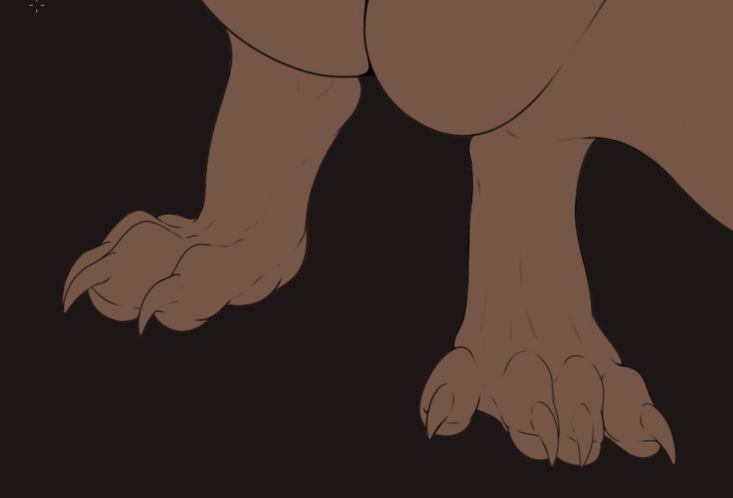 Paws ✨