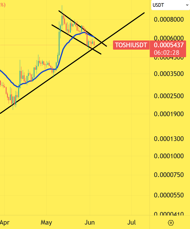 BULLISH 🟩 #TOSHI $TOSHI #TOSHIUSDT 

1D

BIG MOVE INCOMING !