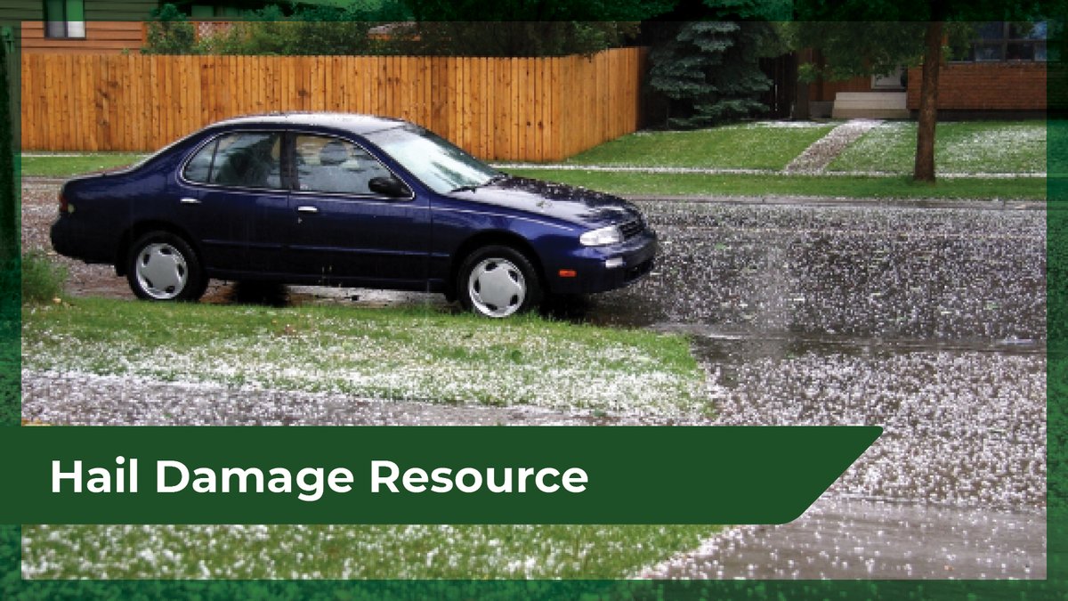 Small hailstones can cause big problems around your property. Learn more about reducing risk of damage using the resource below. bit.ly/4konKL3