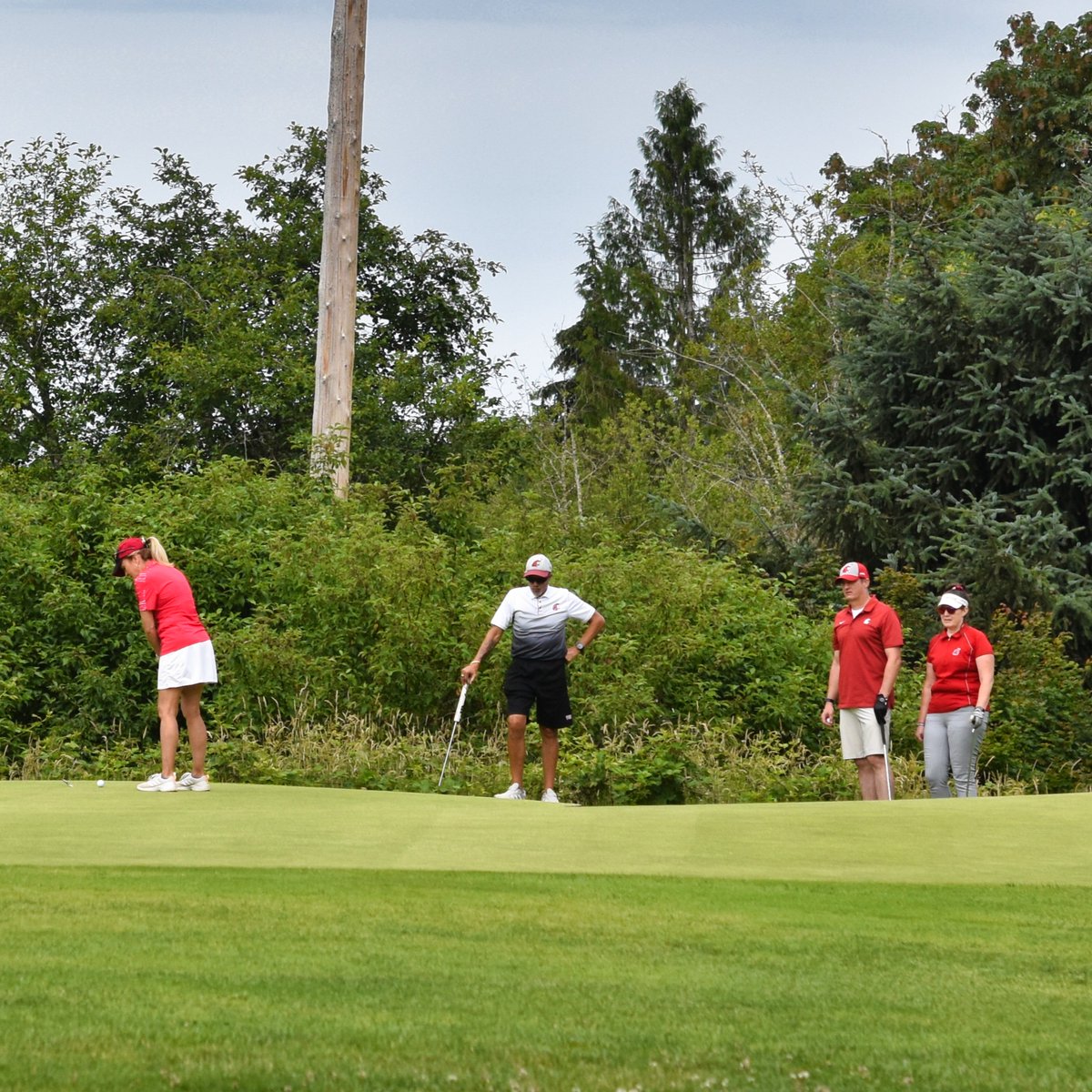 WSUAlumAssoc's tweet image. Register by Sunday, June 8 for the Cougar Classic Golf Tournament at Tumwater Valley Golf Course on Saturday, June 28. Don&apos;t miss your chance to tee off with fellow South Puget Sound Cougs in this 18-hole scramble!

Register now before it&apos;s too late at alumni.wsu.edu/cougarclassicg…