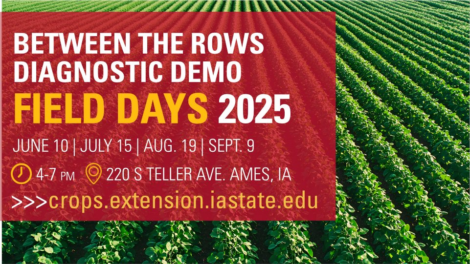 ISU Crop News (@isucropnews) on Twitter photo Come out June 10 for our first Between the Rows session from 4-7 PM! 🌽 There be great agronomic info AND yummy food served 🍔 thanks to <a href="/WyffelsHybrids/">Wyffels Hybrids</a>! <a href="/erinwhodgson/">Erin Hodgson</a> <a href="/nciacrops/">ISU NC Crops</a> <a href="/GentrySorenson/">Gentry Sorenson</a> <a href="/alisonrISU/">Alison Robertson</a>
🔗 More info: crops.extension.iastate.edu/event/2025/bet… Come out June 10 for our first Between the Rows session from 4-7 PM! 🌽 There be great agronomic info AND yummy food served 🍔 thanks to <a href="/WyffelsHybrids/">Wyffels Hybrids</a>! <a href="/erinwhodgson/">Erin Hodgson</a> <a href="/nciacrops/">ISU NC Crops</a> <a href="/GentrySorenson/">Gentry Sorenson</a> <a href="/alisonrISU/">Alison Robertson</a>
🔗 More info: crops.extension.iastate.edu/event/2025/bet…
