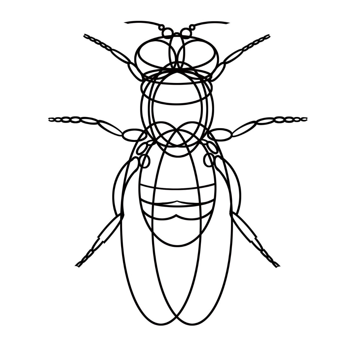 #Carnívora #PremiEnricValor