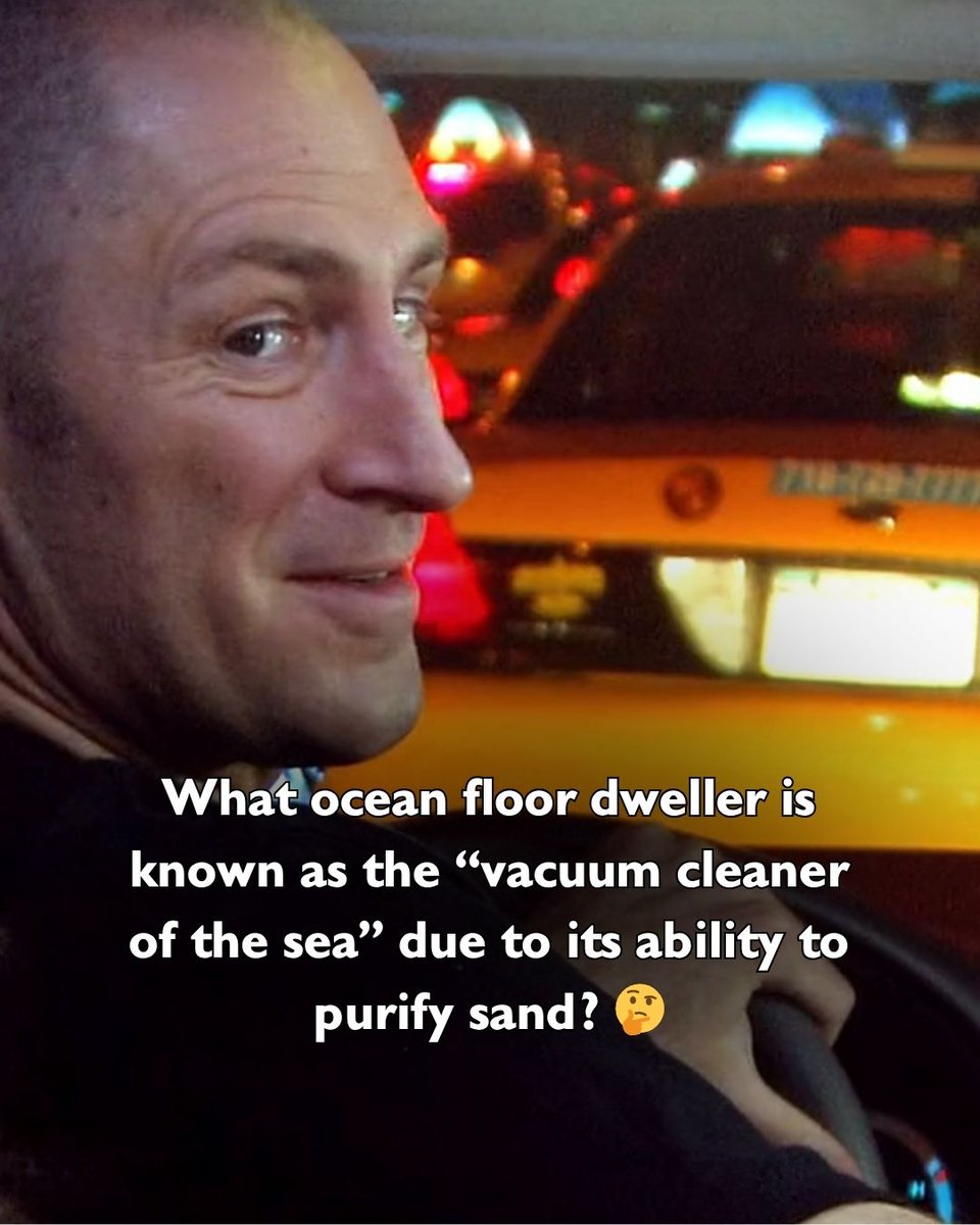 discoveryplus's tweet photo. Do you know the answer or are you calling for help? ๐ต ๐
Stream #CashCab on discovery+ https://t.co/lv8LBMsMLR