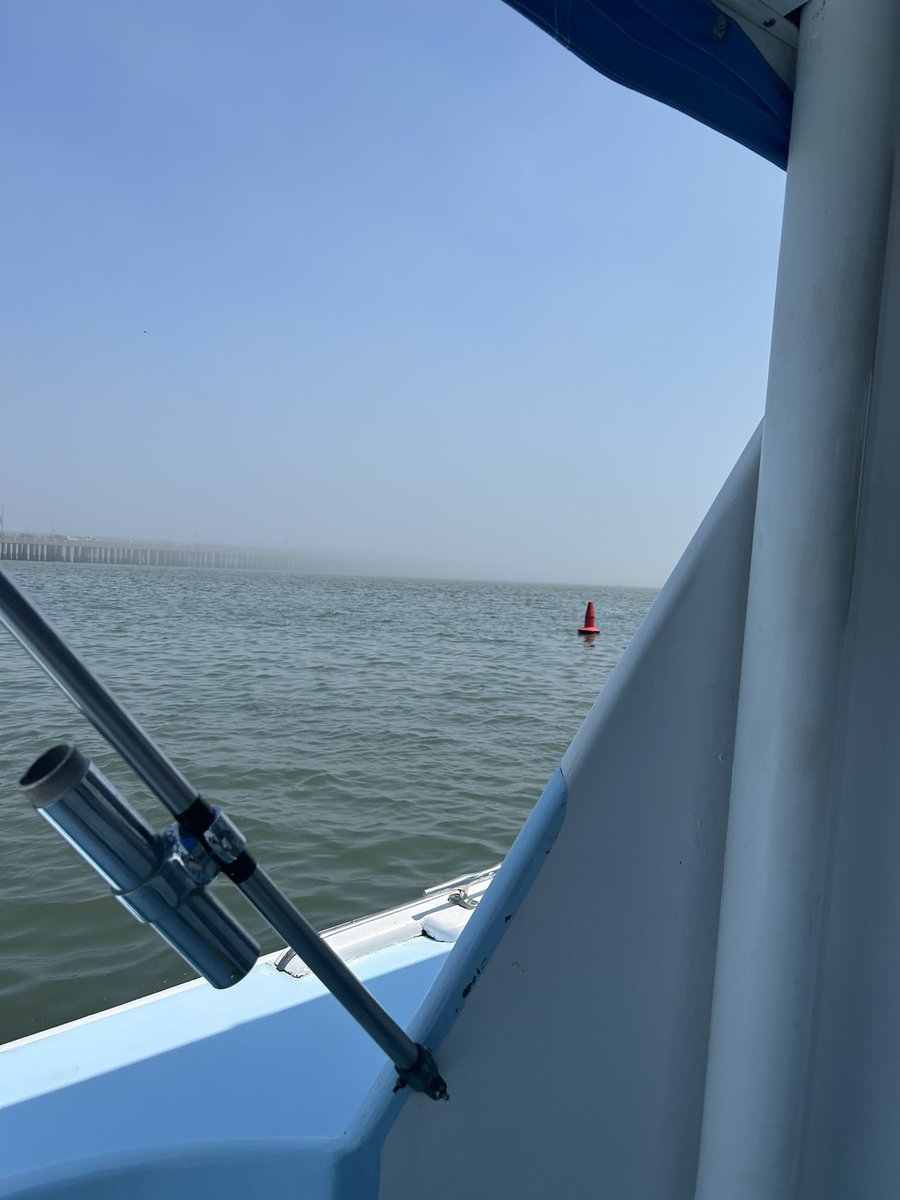 angelofvalleys's tweet photo. boat trips in the ocean  🏝️🐚

#findom #paypig #findompaypig #domme #angel https://t.co/4ca6wp1Zt2